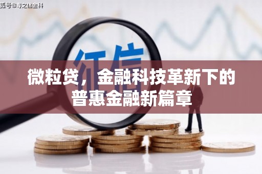 久治微粒贷，金融科技革新下的普惠金融新篇章