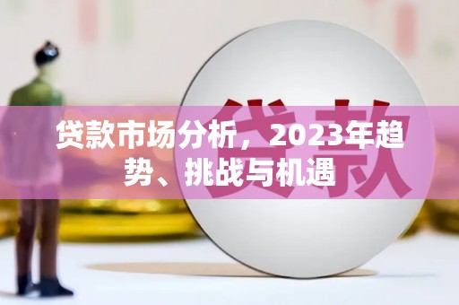 久治贷款市场分析，2023年趋势、挑战与机遇