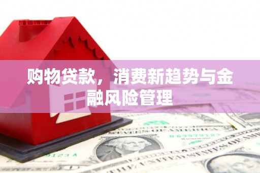 久治购物贷款，消费新趋势与金融风险管理