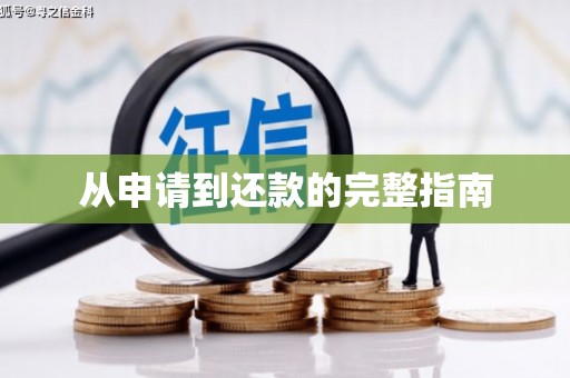 久治从申请到还款的完整指南