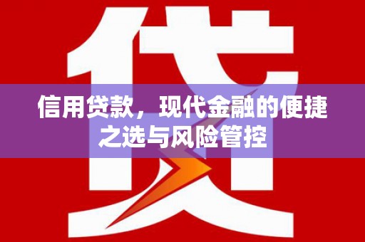 久治信用贷款，现代金融的便捷之选与风险管控