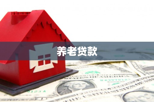 久治养老贷款