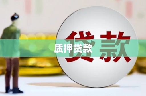 久治质押贷款