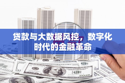 久治贷款与大数据风控，数字化时代的金融革命