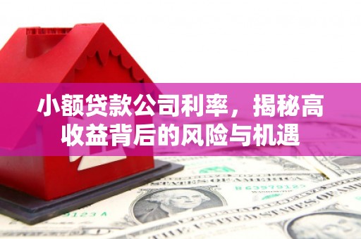 久治小额贷款公司利率，揭秘高收益背后的风险与机遇
