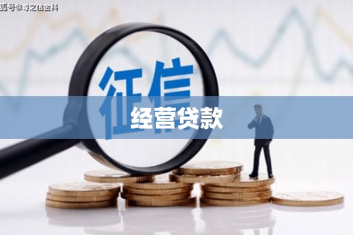 久治经营贷款