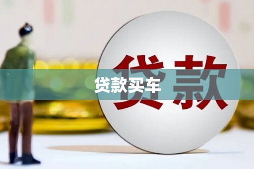 久治贷款买车