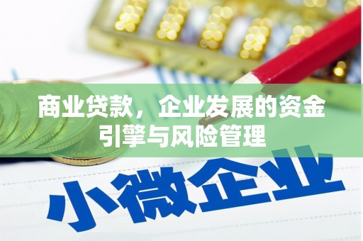 久治商业贷款，企业发展的资金引擎与风险管理