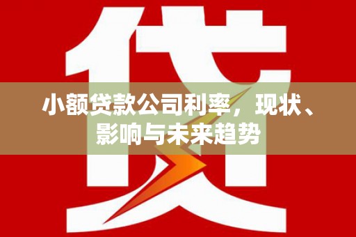 久治小额贷款公司利率，现状、影响与未来趋势