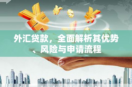 久治外汇贷款，全面解析其优势、风险与申请流程