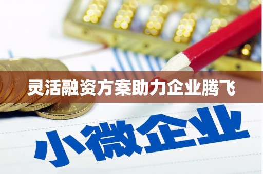 久治灵活融资方案助力企业腾飞