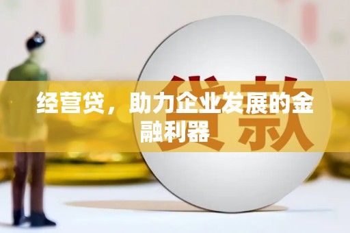 久治经营贷，助力企业发展的金融利器