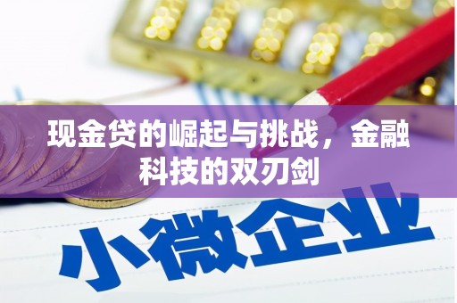 久治现金贷的崛起与挑战，金融科技的双刃剑