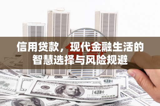 久治信用贷款，现代金融生活的智慧选择与风险规避