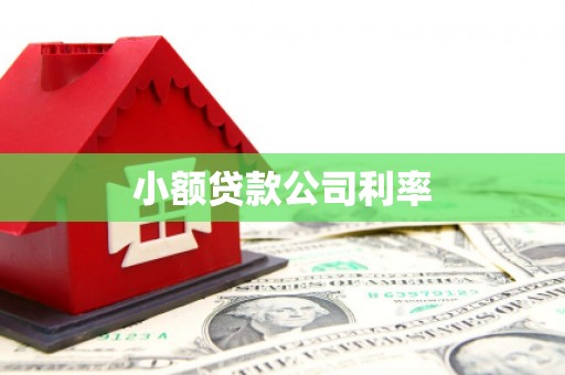 久治小额贷款公司利率