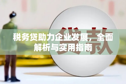 久治税务贷助力企业发展，全面解析与实用指南