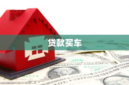 久治贷款买车