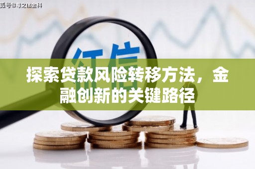 久治探索贷款风险转移方法，金融创新的关键路径