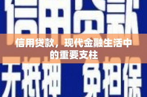久治信用贷款，现代金融生活中的重要支柱
