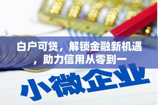 久治白户可贷，解锁金融新机遇，助力信用从零到一