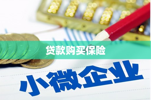 久治贷款购买保险