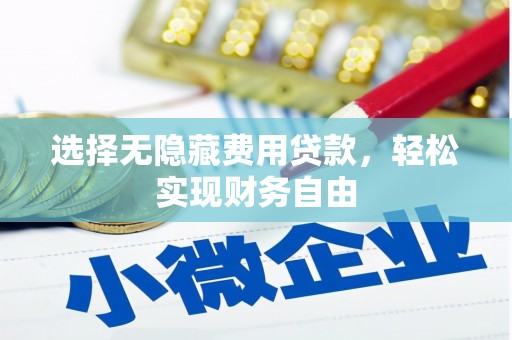 久治选择无隐藏费用贷款，轻松实现财务自由