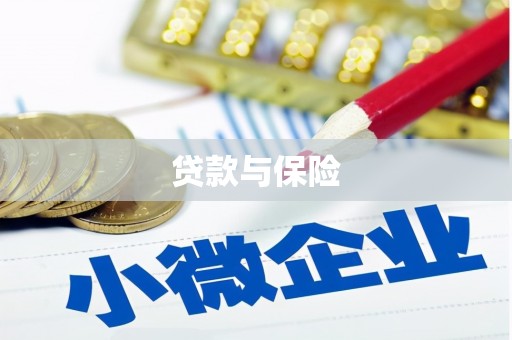久治贷款与保险