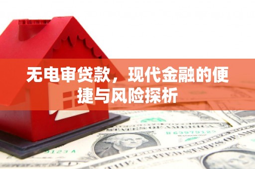 久治无电审贷款，现代金融的便捷与风险探析