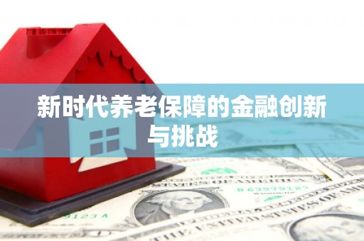 久治新时代养老保障的金融创新与挑战