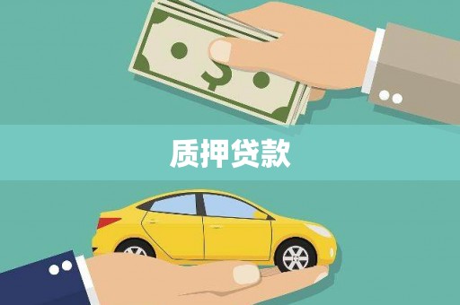 久治质押贷款