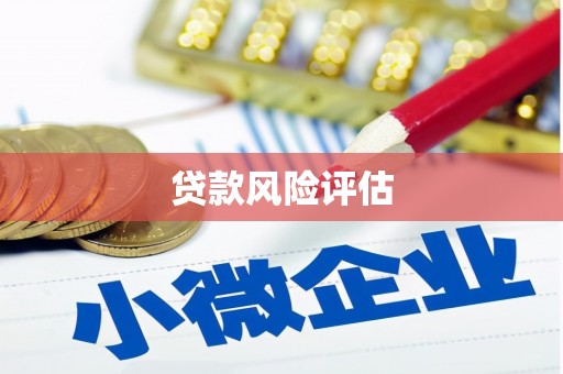 久治贷款风险评估