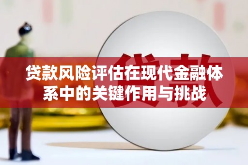 久治贷款风险评估在现代金融体系中的关键作用与挑战
