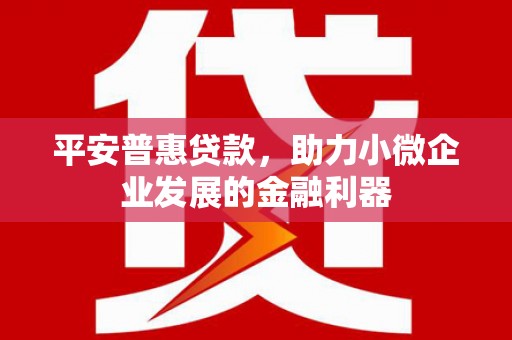 久治平安普惠贷款，助力小微企业发展的金融利器