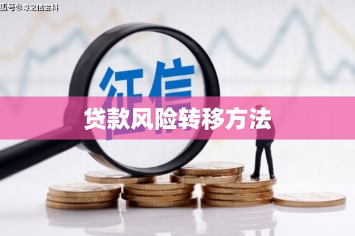 久治贷款风险转移方法