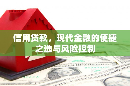 久治信用贷款，现代金融的便捷之选与风险控制