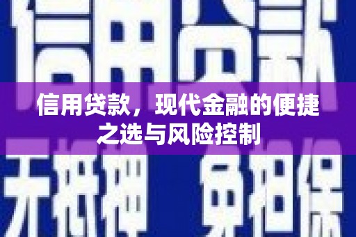 久治信用贷款，现代金融的便捷之选与风险控制