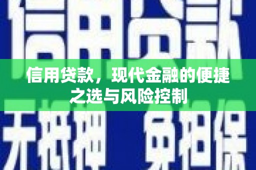 久治信用贷款，现代金融的便捷之选与风险控制