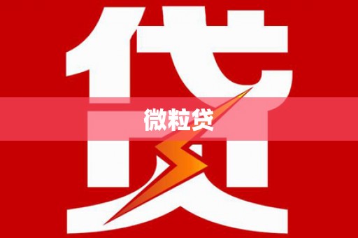 久治微粒贷