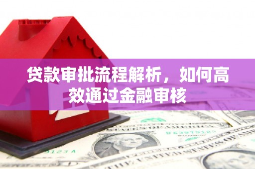 久治贷款审批流程解析，如何高效通过金融审核