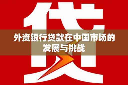 久治外资银行贷款在中国市场的发展与挑战