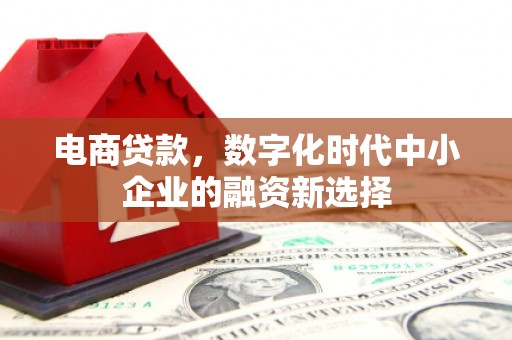 久治电商贷款，数字化时代中小企业的融资新选择