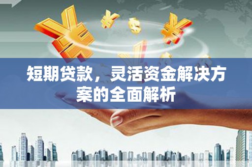 久治短期贷款，灵活资金解决方案的全面解析