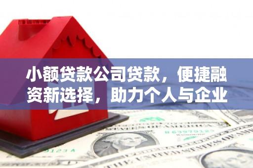 久治小额贷款公司贷款，便捷融资新选择，助力个人与企业成长
