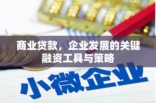 久治商业贷款，企业发展的关键融资工具与策略