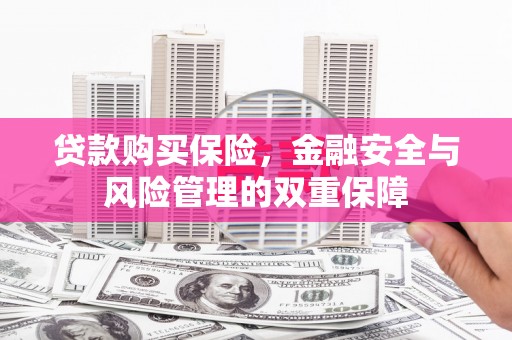 久治贷款购买保险，金融安全与风险管理的双重保障