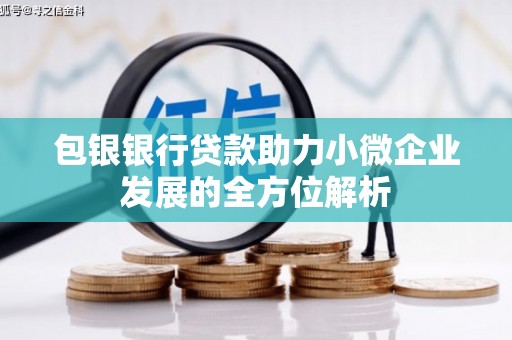 久治包银银行贷款助力小微企业发展的全方位解析