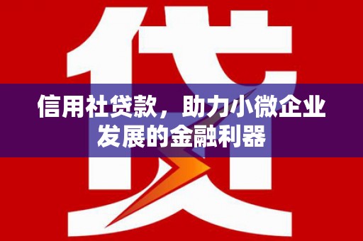 久治信用社贷款，助力小微企业发展的金融利器