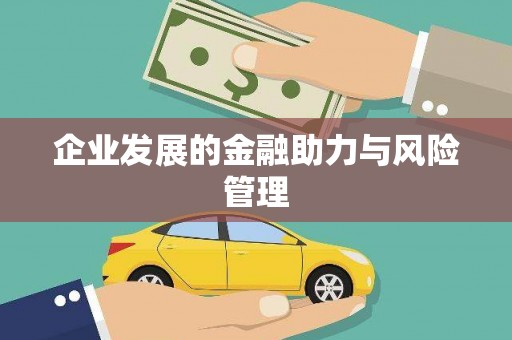 久治企业发展的金融助力与风险管理