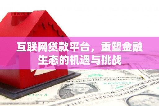 久治互联网贷款平台，重塑金融生态的机遇与挑战