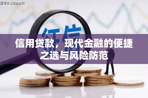 久治信用贷款，现代金融的便捷之选与风险防范